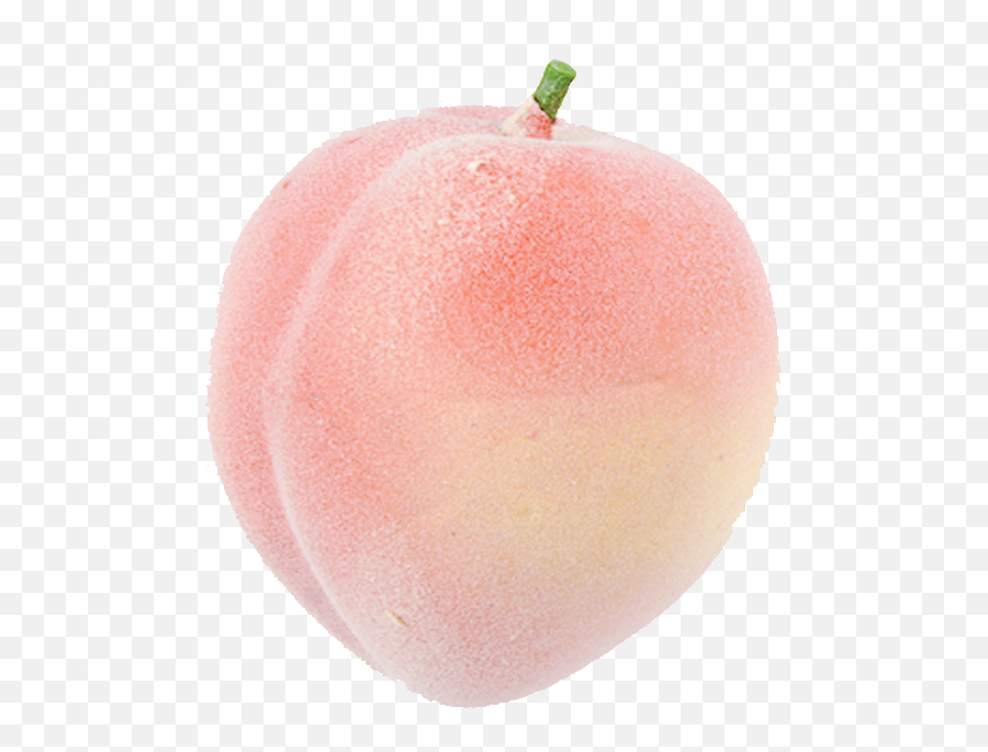 Peach Food Kawaii - Peach Png Download 586653 Free Aesthetic Transparent Peach Png,Peach Transparent Background