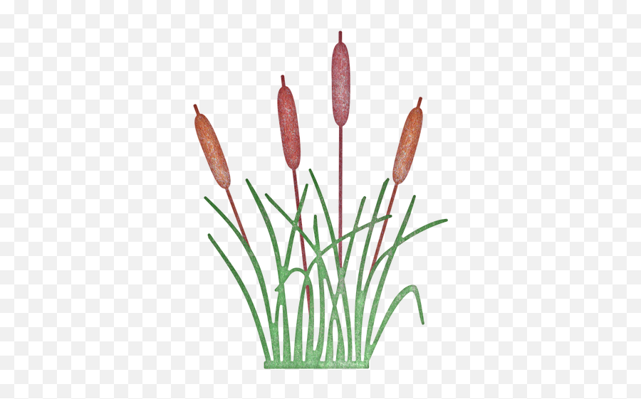 Cattail Cheery Lynn Designs Plant West - Clipart Transparent Background Reeds Png,Reed Png