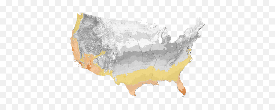 Purple Fountain Grass - Hardiness Zone Map 2012 Png,Fountain Grass Png