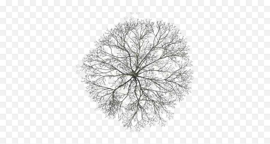 Tree Photoshop - Tree Top Png Black And White,Tree Line Png