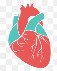 Oleksiiafanasiev U2013 Canva - Vector Real Heart Silhouette png