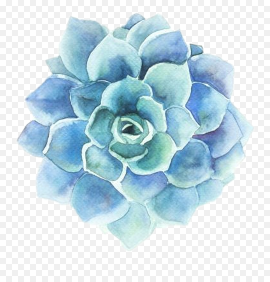 21 Blue Rose Clipart Tumblr Cartoon Free Clip Art Stock Png