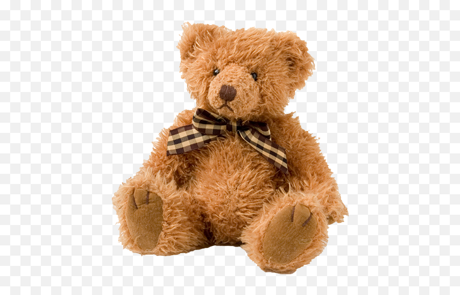 Imex Best Online Shopping Websites - Transparent Background Teddy Bear Png,Teddy Bear Icon Coat