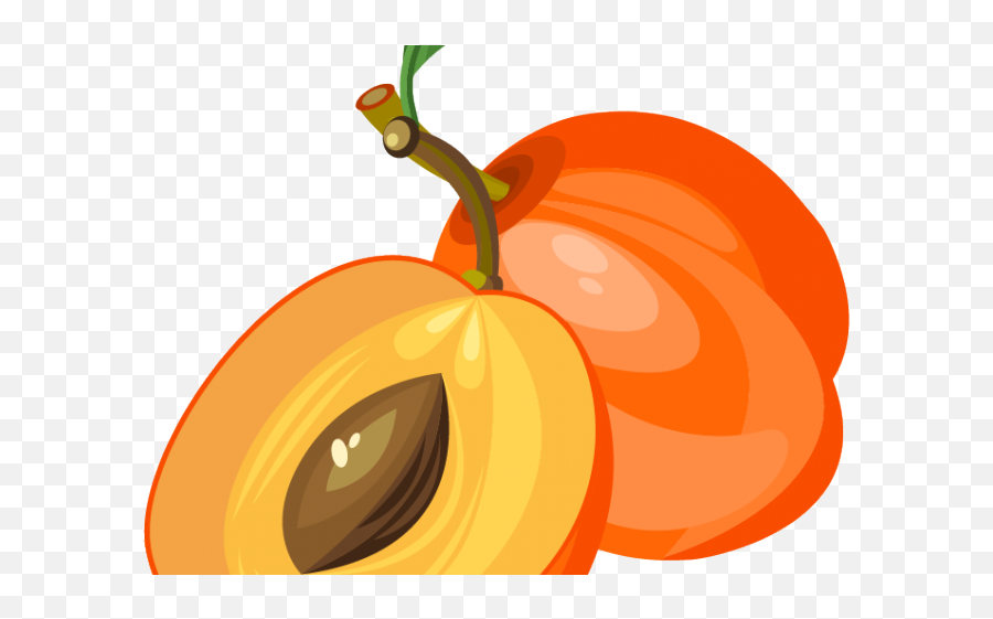 Peach Clipart Apricot - Png Download Full Size Clipart Apricot Clipart Png,Peaches Png