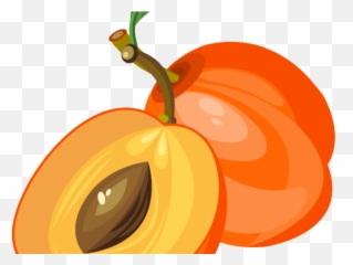Peach Clipart Apricot - Png Download Full Size Clipart Apricot Clipart Png,Peaches Png