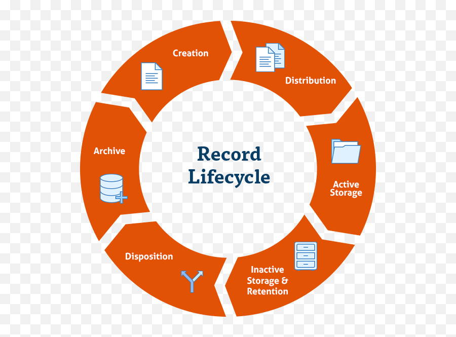 What Exactly Is Records Management Laserfiche - Delicass Png,Records Management Icon