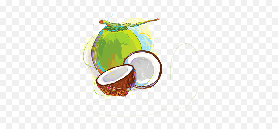 Download Free Fresh Coconut Green Image Icon - Fresh Png,Coconut Icon