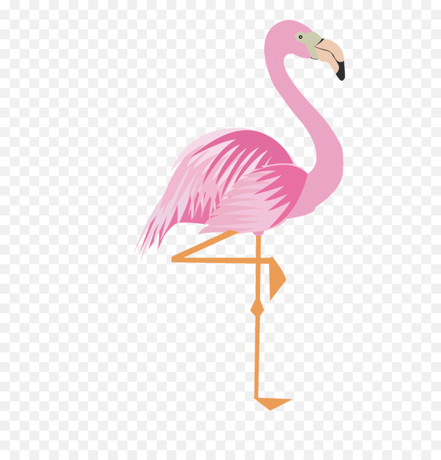 Flamingo Clipart Png 12 U2013 Clipartlycom - Flamingo Png,Corn Clipart Png