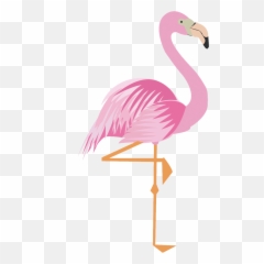Flamingo Clipart Png 12 U2013 Clipartlycom - Flamingo Png,Corn Clipart Png