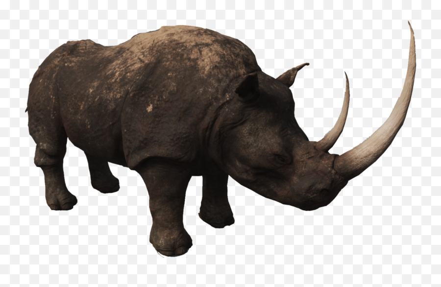 Rhino Png Photos - Animal Conan,Rhino Png