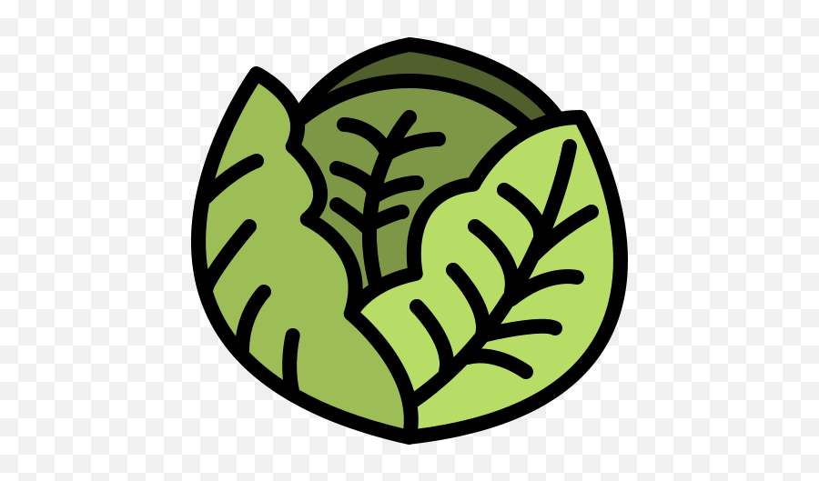 Cabbage - Free Nature Icons Png,Cabbage Icon