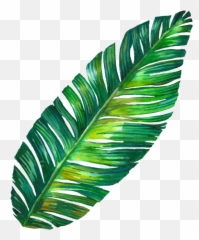Art Edit Sticker - Transparent Tumblr Leaf Png