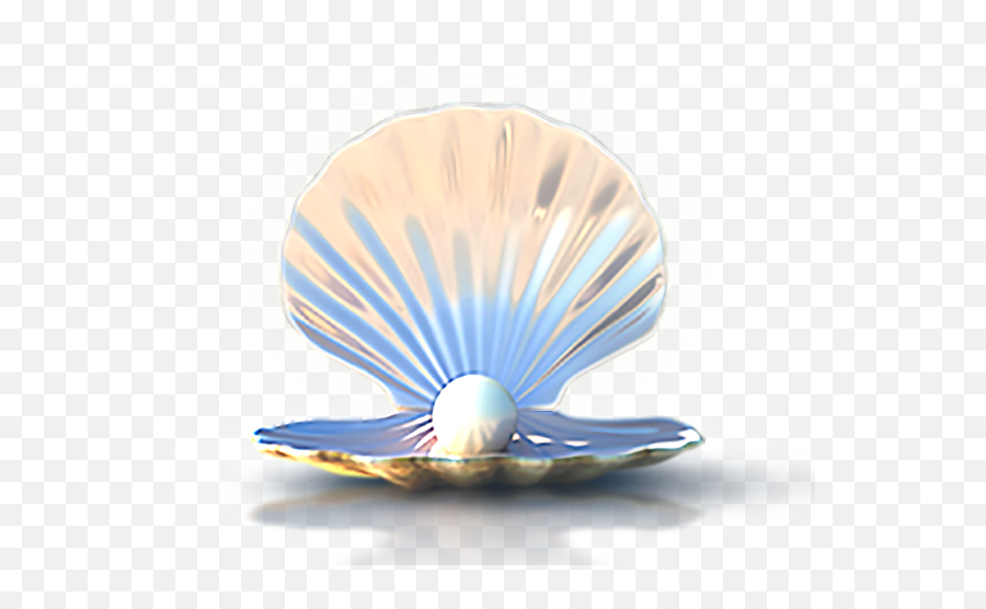 Seashell Download Computer File - Seashells Png Download Seashell With Pearl Png,Blue Shell Png