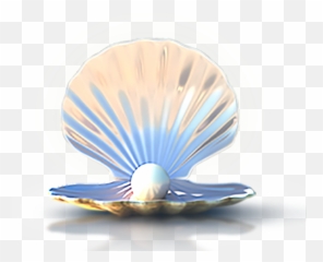 Seashell Download Computer File - Seashells Png Download Seashell With Pearl Png,Blue Shell Png
