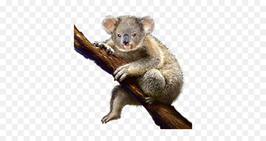 Mouse Lemur Png Images - Free Png Library,Lemur Png