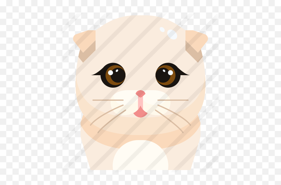 Cat - Free Animals Icons Cartoon Png,Whiskers Png
