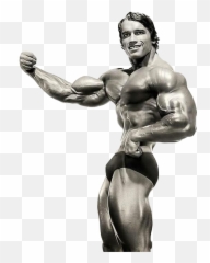 Arnold Schwarzenegger Png Transparent