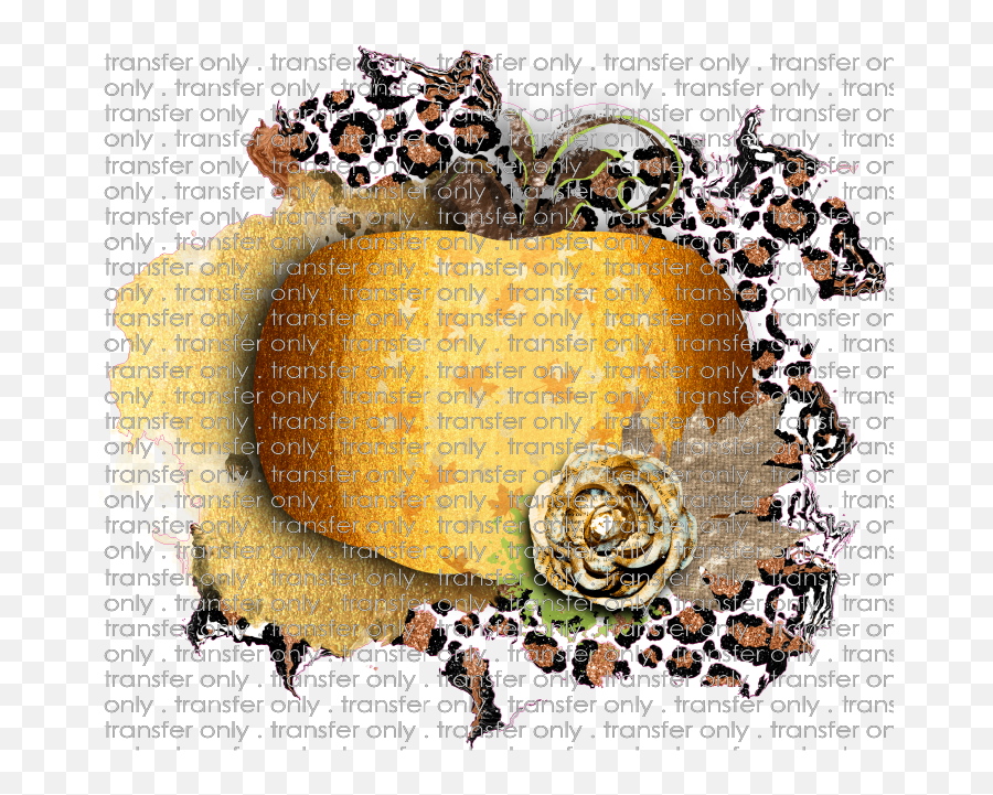 Siser Fall 74 Pumpkin With Leopard Background - Heart Png,Pumpkins Transparent Background