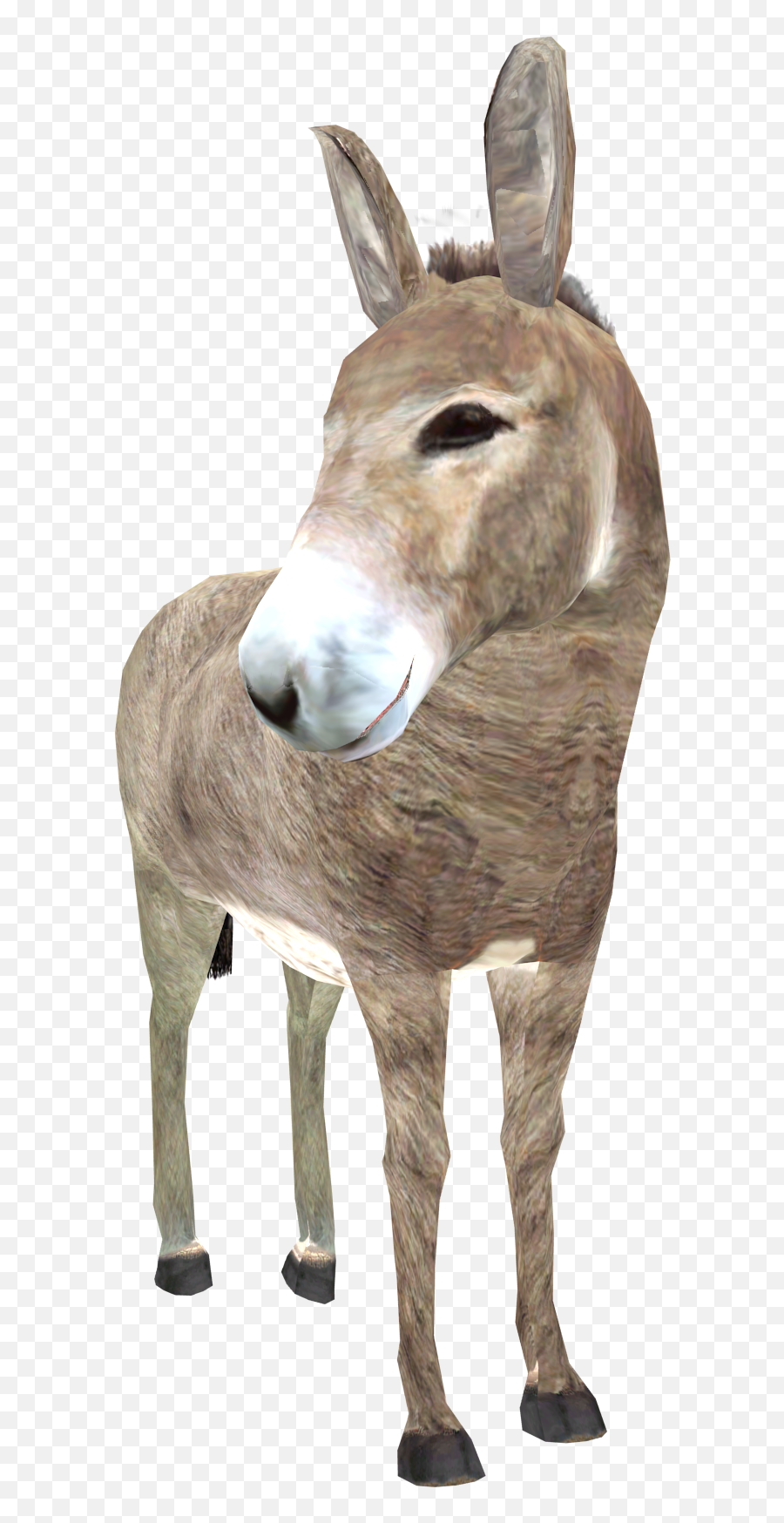 Donkey Png High - Donkey Png,Donkey Png