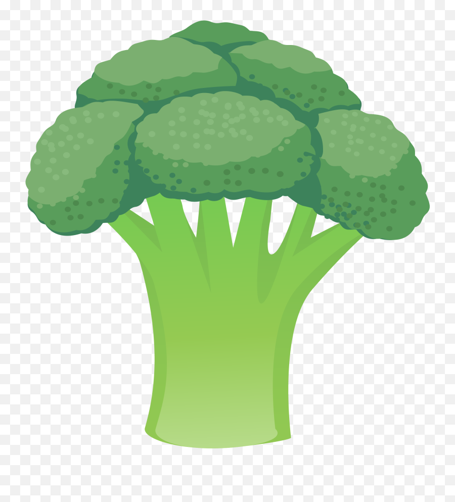 Broccoli Vector - Broccoli Png Vector,Brocolli Png