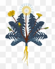 Contact U2014 Dandelion Integrative Therapy - Laser Cut Invitations Png,Dandelions Png