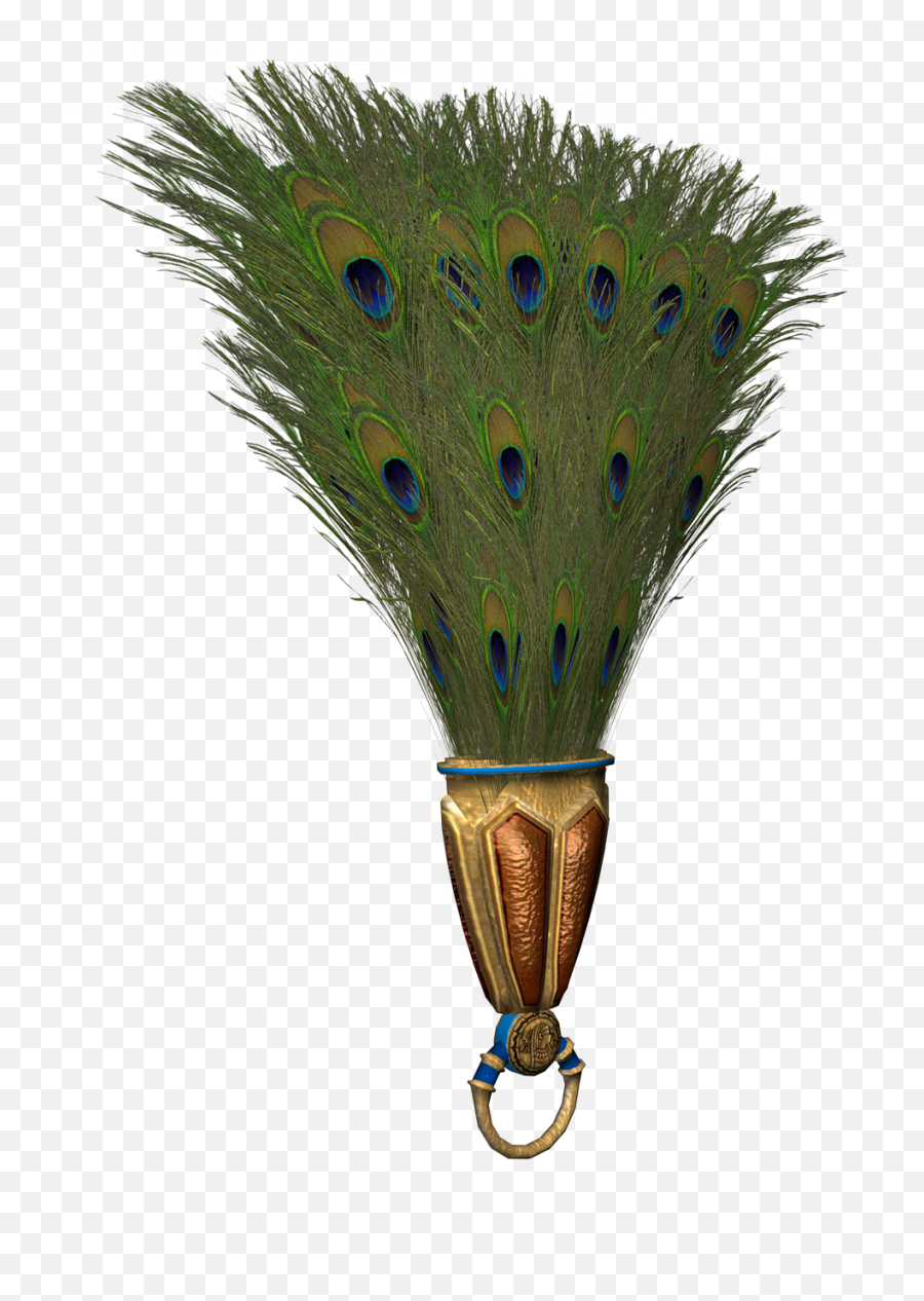Peacock Feather Clipart Png - Bird,Peacock Feathers Png