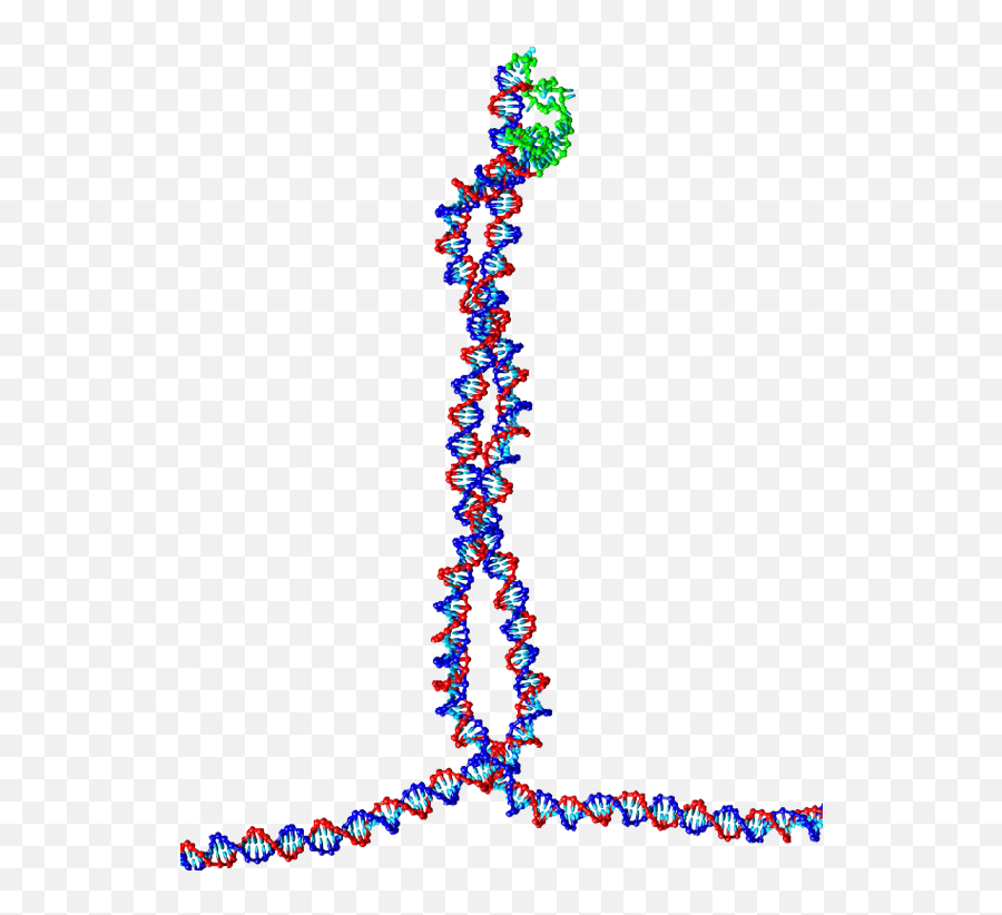 A Tetrahedral Dna Cage As Made By The Group Of Chengde - Clip Art Png,Double Helix Png