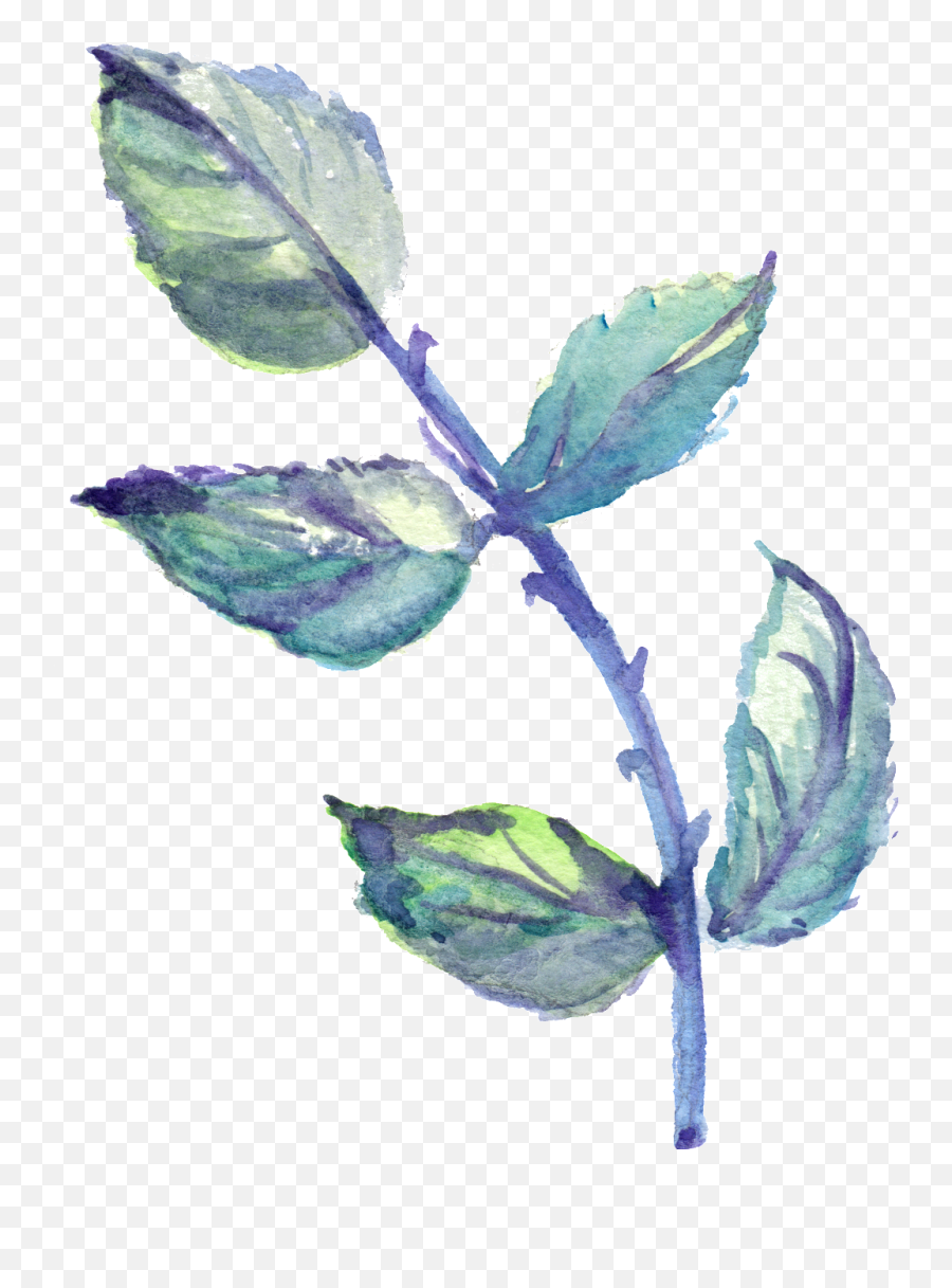 Download This Graphics Is Purple Thorn Leaves Transparent - Purple Leaves Image Transparent Background Png,Thorn Png
