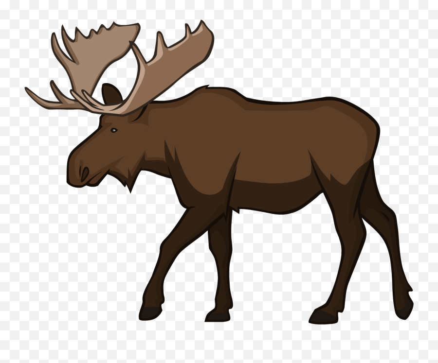 Moose Png Hd Clipart 7 - Png 6507 Free Png Images Starpng Clipart Moose Png,Moose Png
