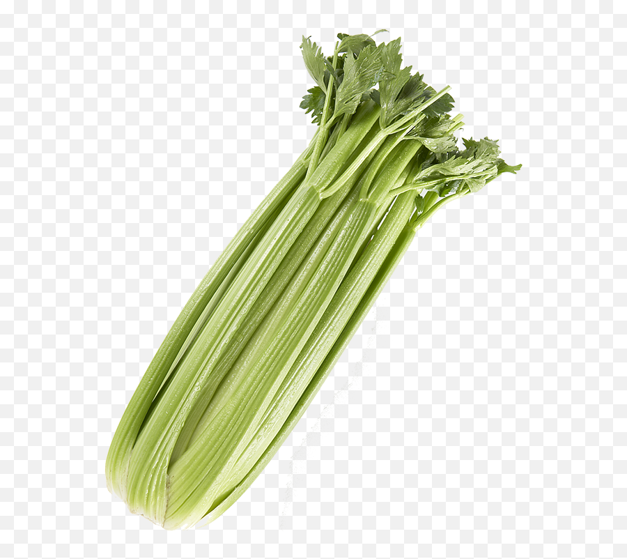 Download Celery Png Transparent Picture - Transparent Background Celery Transparent,Celery Png