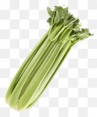 Download Celery Png Transparent Picture - Transparent Background Celery Transparent,Celery Png