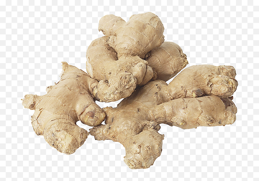 Ginger Png Image - Dry Rot Of Ginger,Ginger Png