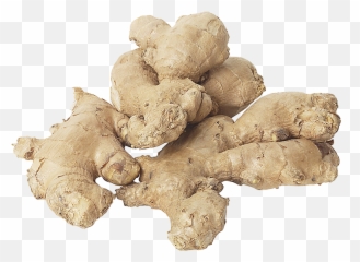 Ginger Png Image - Dry Rot Of Ginger,Ginger Png