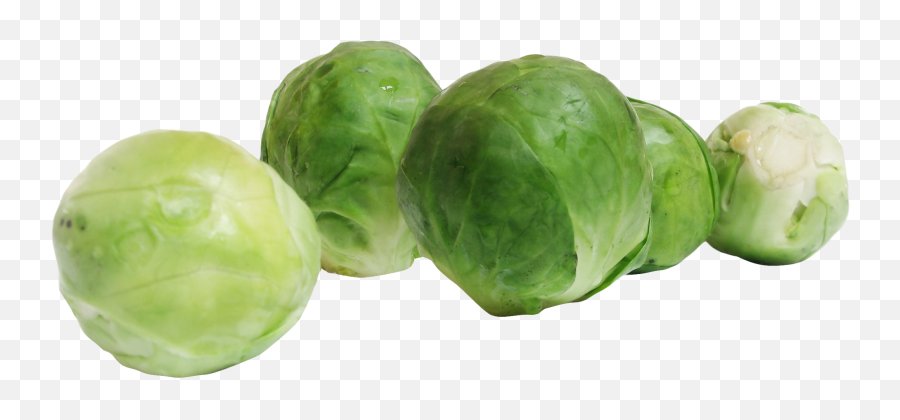 Download Brussels Sprouts Png Image For Free - Brussel Sprouts Clipart Png,Cabbage Transparent Background