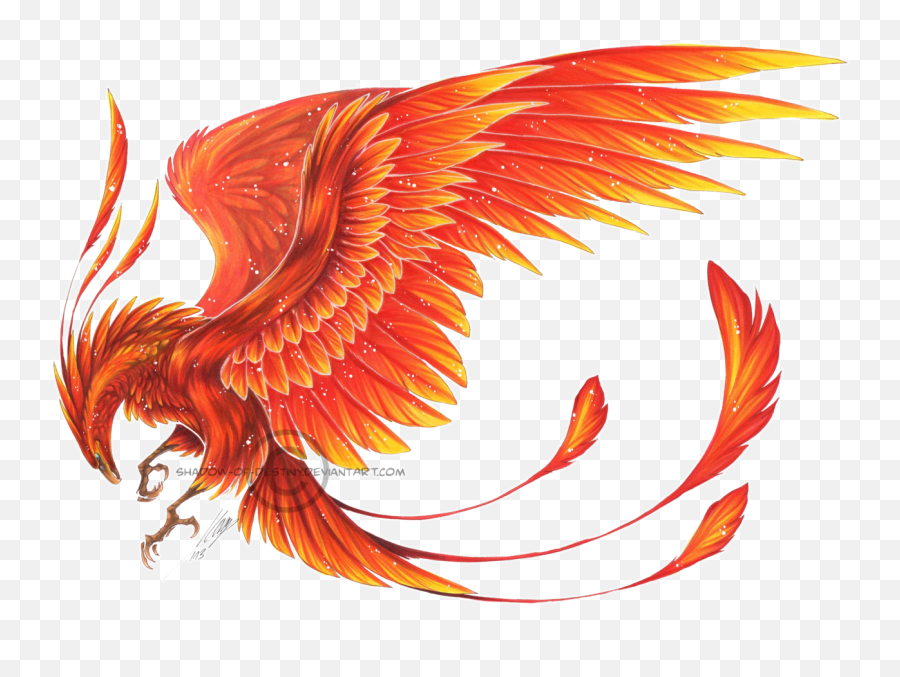 Phoenix Harry Potter Transparent Png - Phoenix Bird White Background,Phoenix Png