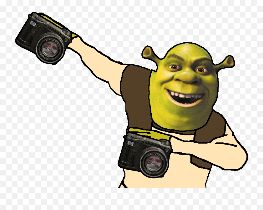 Shrek MEME by KingSpan on Newgrounds