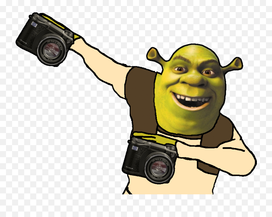 In The House Tonight Shreku0027s Cringe Compilation Know - Shrek Dab Gif Png,Shrek Face Transparent