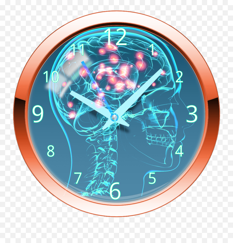 The Science Of Circadian Rhythm Led Lighting - Transparent Nervous System Png,Bright Light Effect Png
