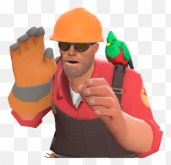 Quizzical Quetzal Team Fortress Wiki Fandom - Construction Worker Png,Quetzal Png