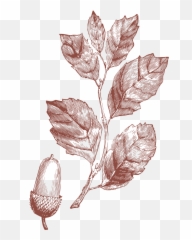 The Future Of Nature - Sketch png
