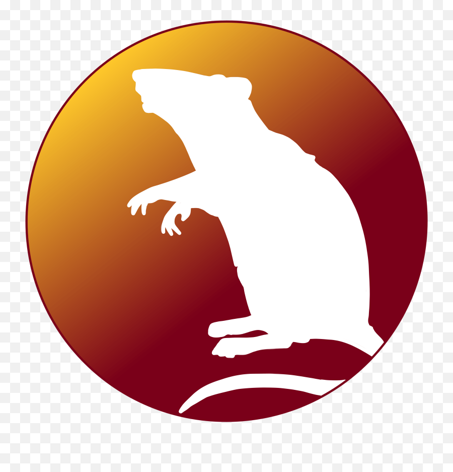Mammals I Png Mouse Rodent Icon