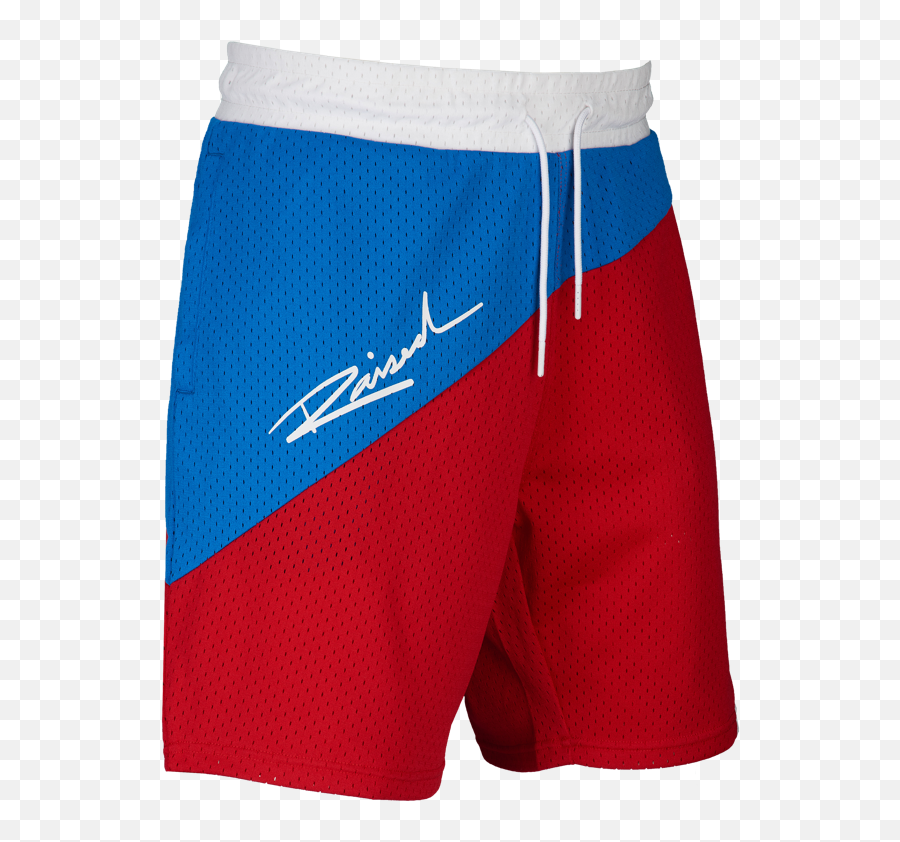 Raised - Bermuda Shorts Png,Nike Icon Mesh Shorts
