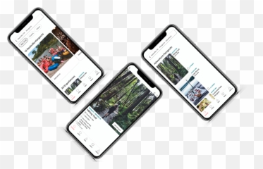 Airbnb U2013 Nina Lombardo Uxui Designer Png