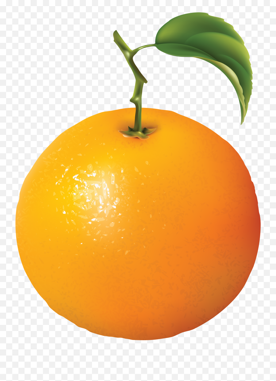 Fruits Clipart Png - Diagram Of An Orange,Fruit Clipart Png