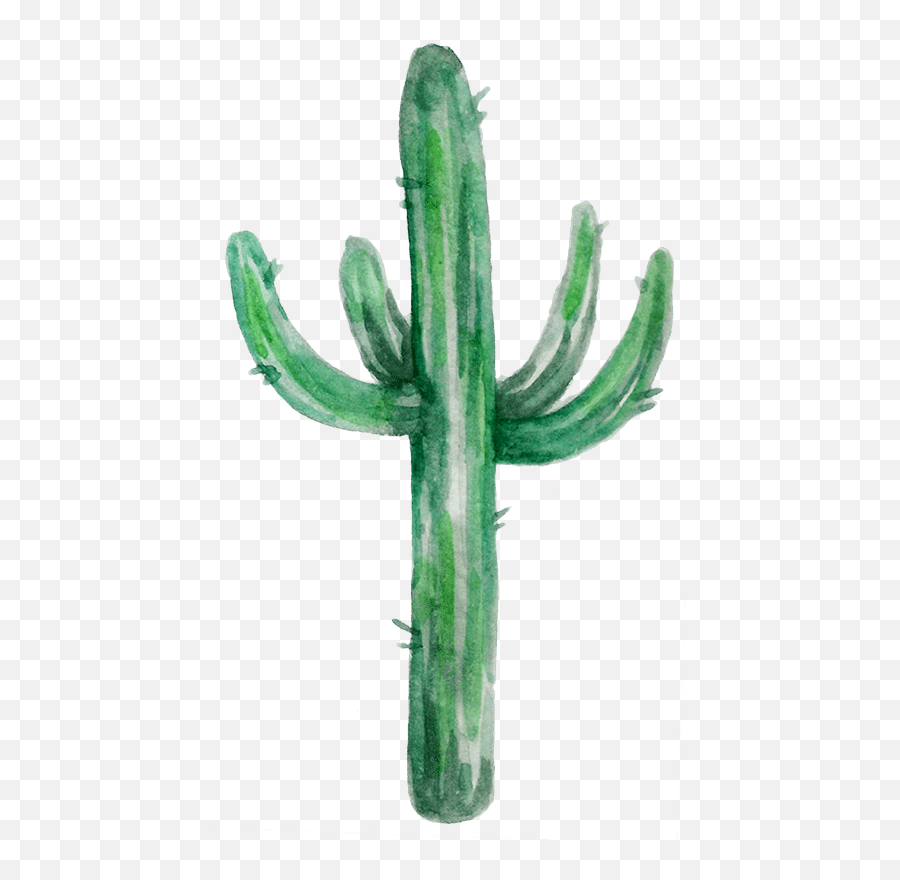 Watercolor Cactus Shape - San Pedro Cactus Png,Watercolor Cactus Png