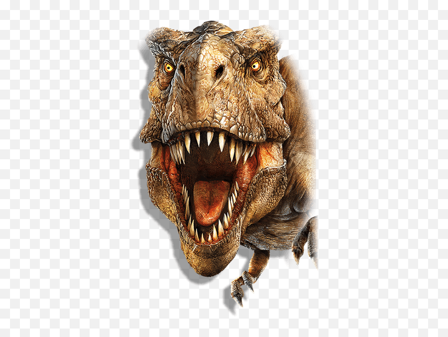 T Rex Head Png Transparent Headpng Images Pluspng - Dinosaur Face Medical Mask,Dinosaur Skull Png
