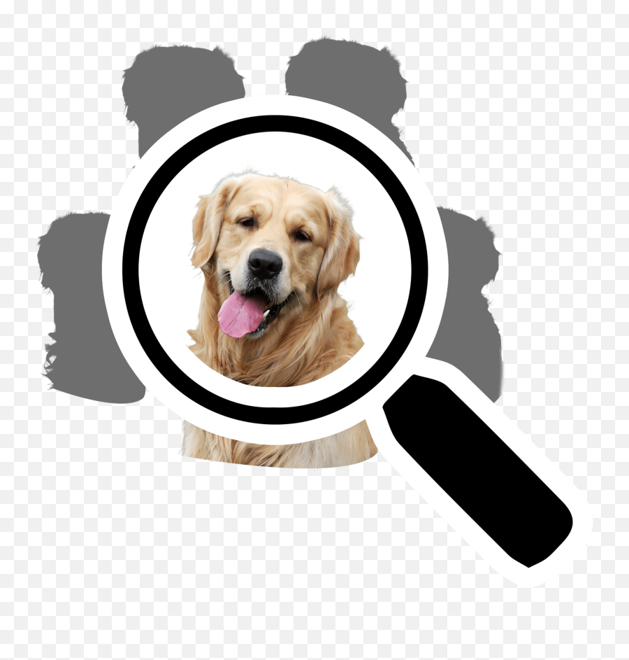 Pawarts - Personalized Pet Portrait Apparel Pawarts Collar Png,Labrador Icon