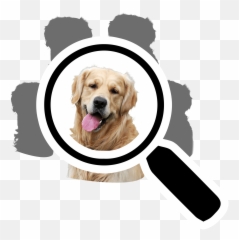 Pawarts - Personalized Pet Portrait Apparel Pawarts Collar png