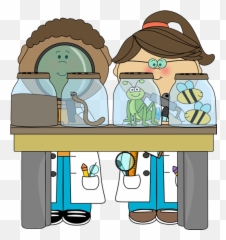 Leary Melanie - 1st Grade Classroom Website Science Clipart png