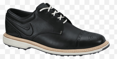 Nike Wingtip Golf Shoeswwwspinephysiotherapycom Png Footjoy Icon